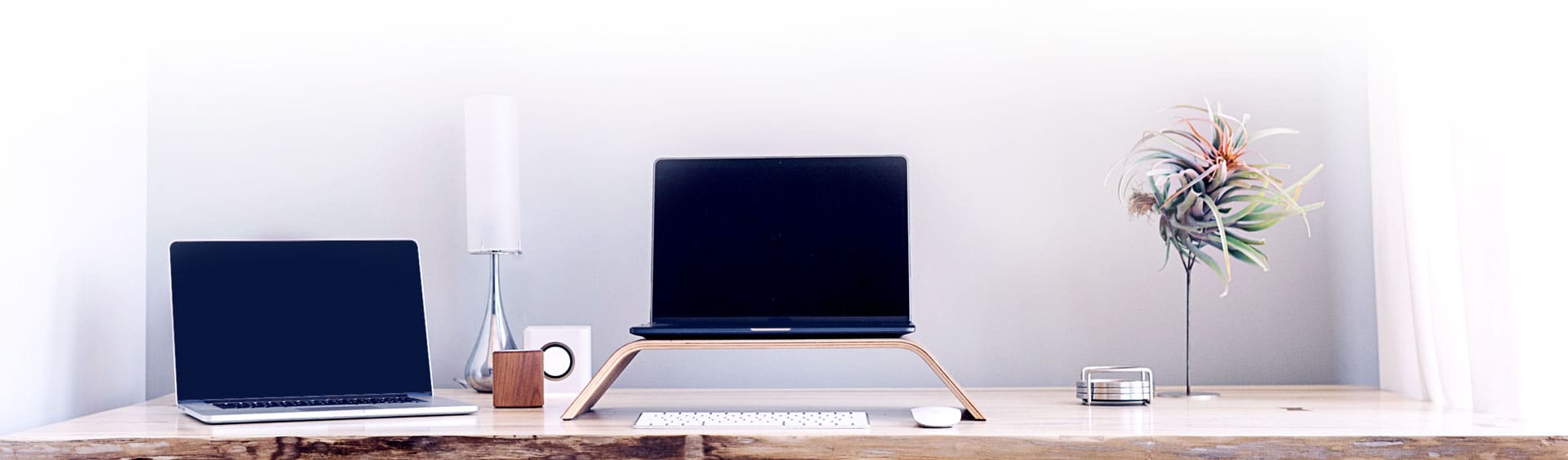 freelance-wordpress-seo (1)