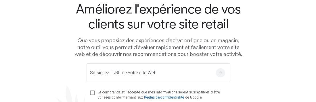 Page d'accueil Google Grow My Store