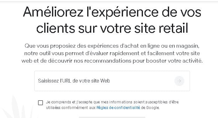 page d'accueil Google Grow My Store